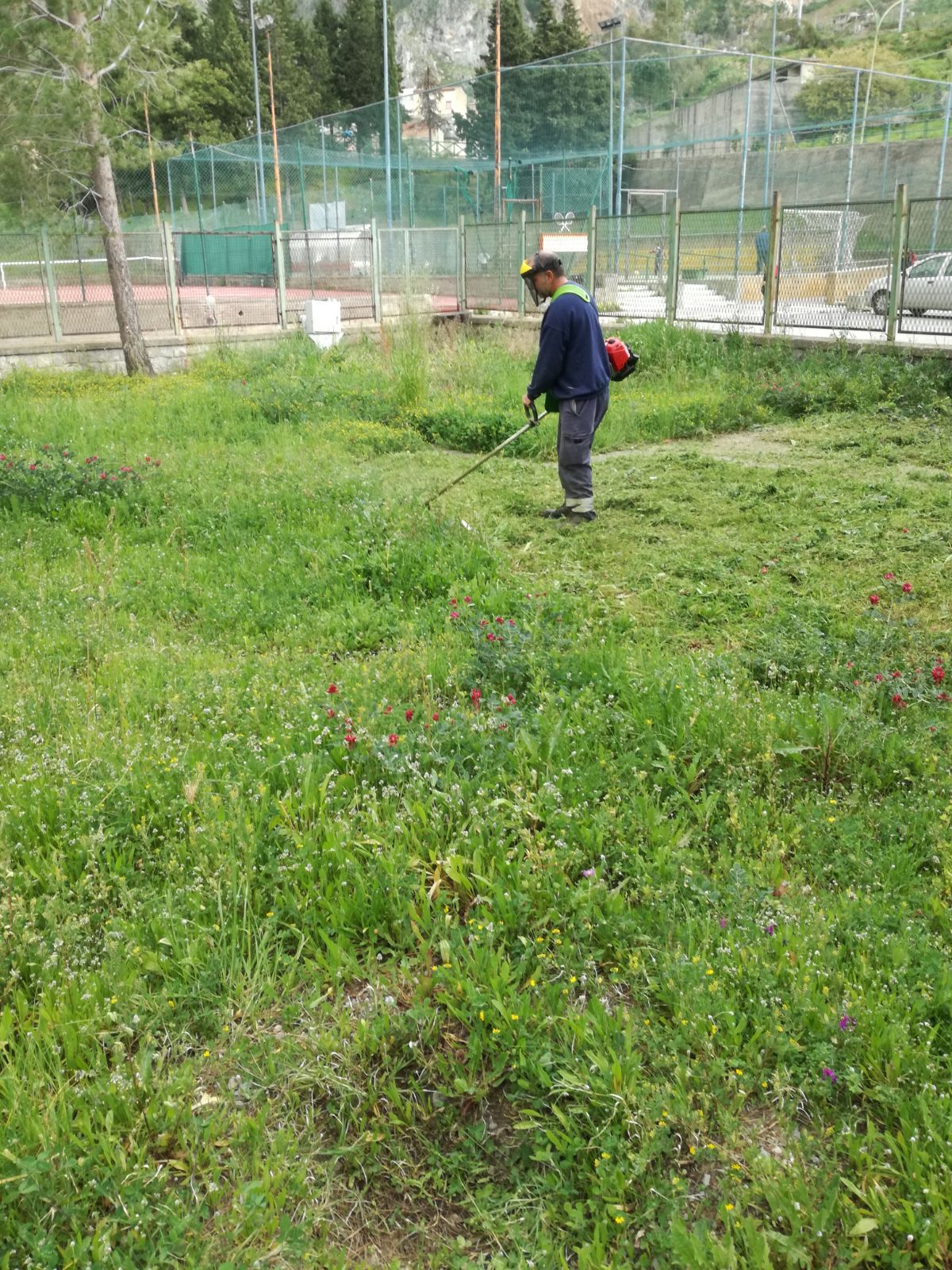 San Calogero