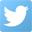 Twitter icon