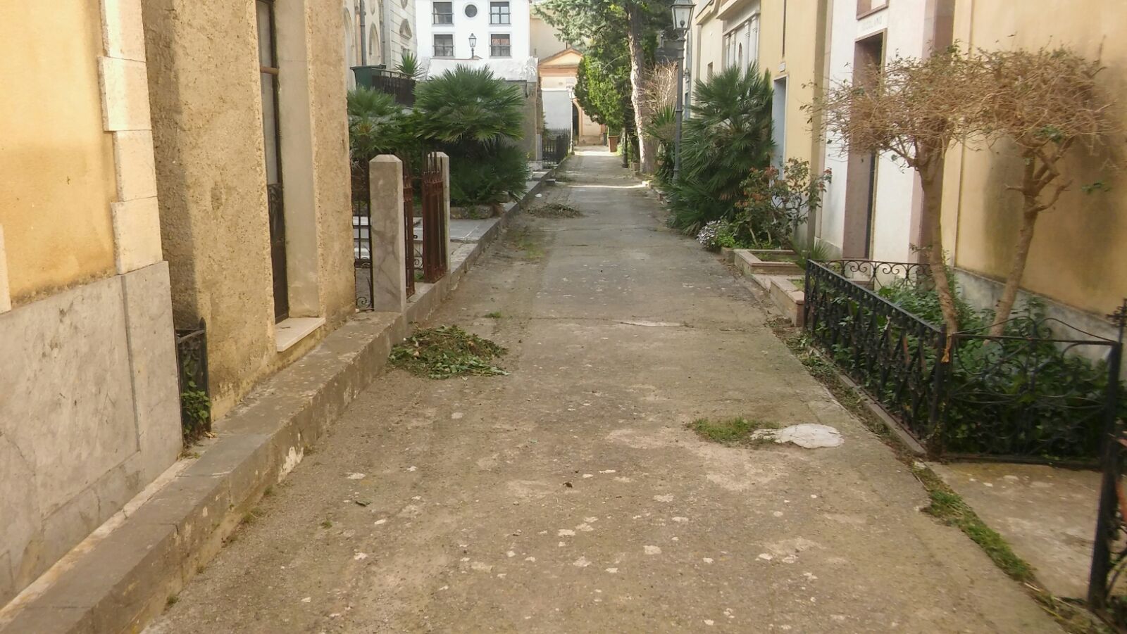 cimitero